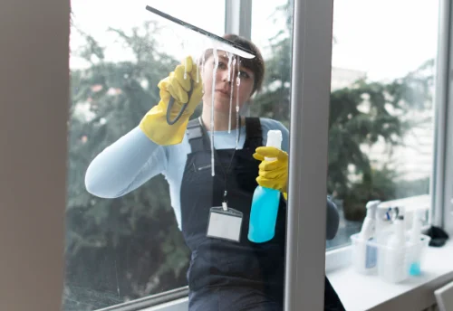 Nettoyage de vitres intérieures et extérieures à Saint-Martin-de-la-Mer